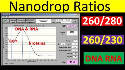 nanodrop graph interpretation